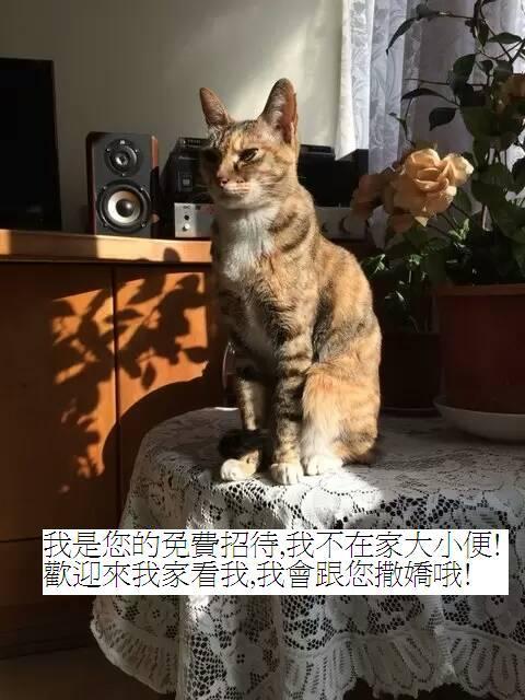 台北市 Star Houseホステル エクステリア 写真
